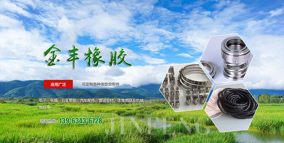 莱芜市莱城区金丰橡胶制品经营部