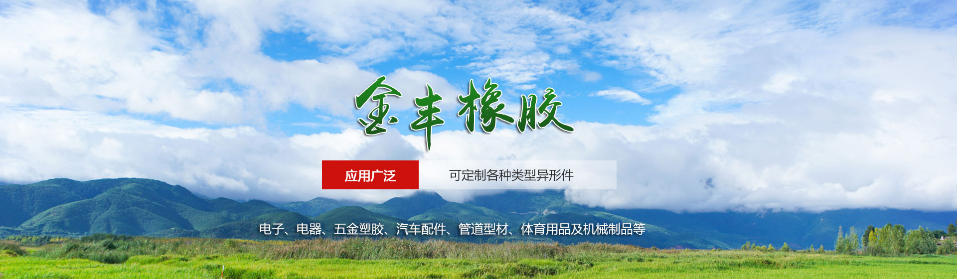 莱芜市莱城区金丰橡胶制品经营部